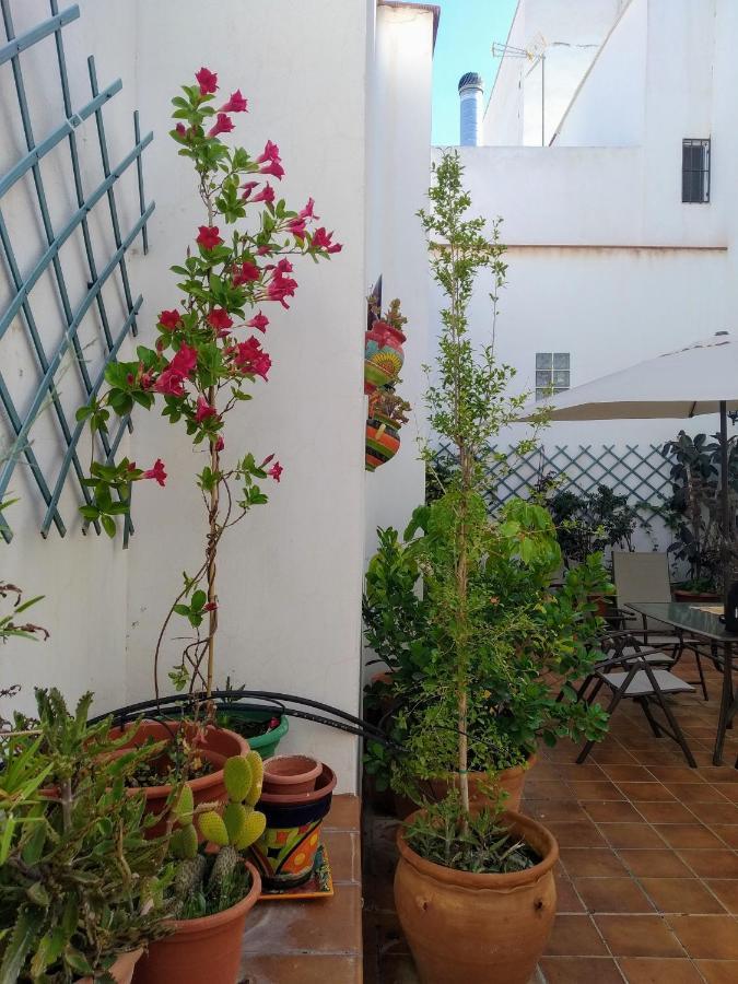 Casa Rural Con Chimenea, Barbacoa, Terraza Y Solarium Villa Illar Exteriör bild